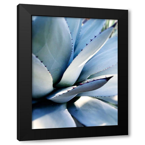 Giant Succulent I Black Modern Wood Framed Art Print by Wilson, Kali