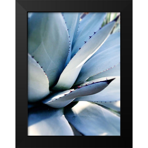 Giant Succulent I Black Modern Wood Framed Art Print by Wilson, Kali