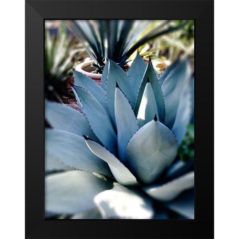 Giant Succulent II Black Modern Wood Framed Art Print by Wilson, Kali