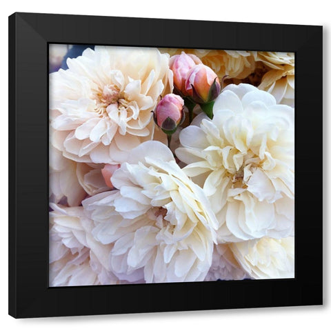 Full Blossoms Black Modern Wood Framed Art Print by Gardner, Sarah