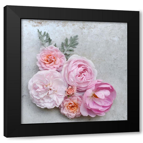 A Beautiful Array Black Modern Wood Framed Art Print by Gardner, Sarah