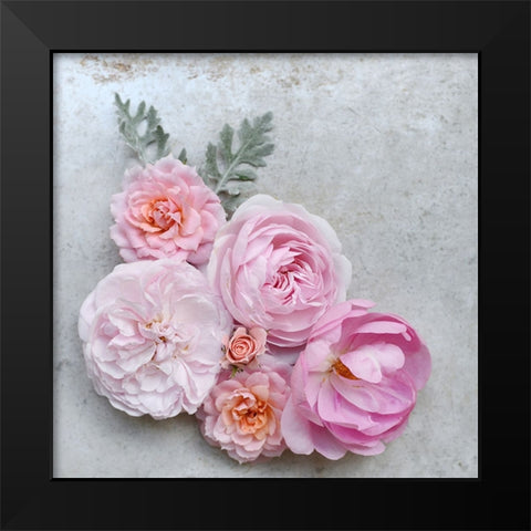 A Beautiful Array Black Modern Wood Framed Art Print by Gardner, Sarah