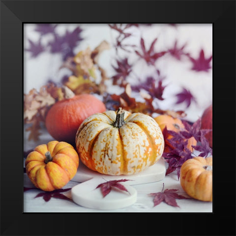 A Bright Harvest I Black Modern Wood Framed Art Print by Gardner, Sarah