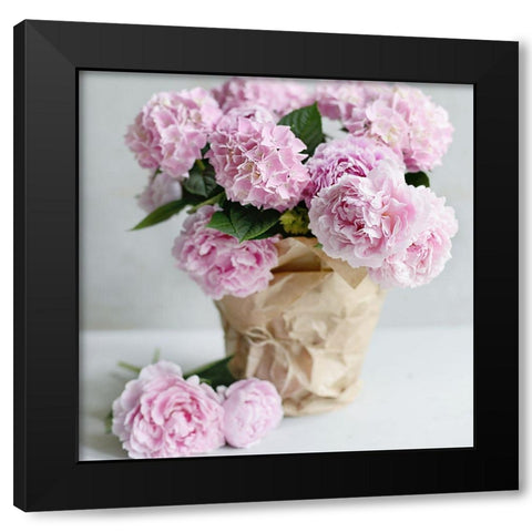 Pink Blooms Black Modern Wood Framed Art Print by Gardner, Sarah