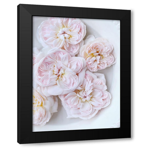 Pink Floating Floral Black Modern Wood Framed Art Print with Double Matting by Gardner, Sarah