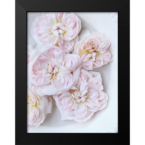 Pink Floating Floral Black Modern Wood Framed Art Print by Gardner, Sarah