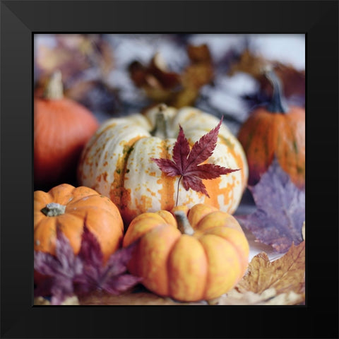 A Bright Harvest II Black Modern Wood Framed Art Print by Gardner, Sarah