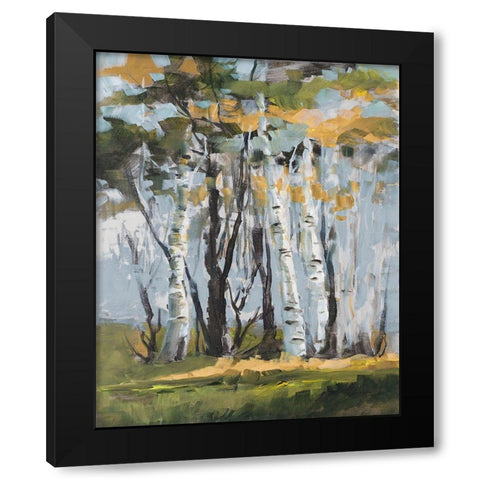 Golden Birch Trees Black Modern Wood Framed Art Print with Double Matting by Slivka, Jane