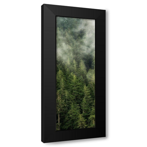 Smoky Forest Panel II Black Modern Wood Framed Art Print by Amos, Andy