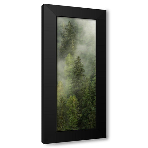 Smoky Forest Panel I Black Modern Wood Framed Art Print by Amos, Andy