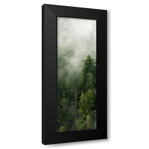 Smoky Forest Panel III Black Modern Wood Framed Art Print with Double Matting by Amos, Andy