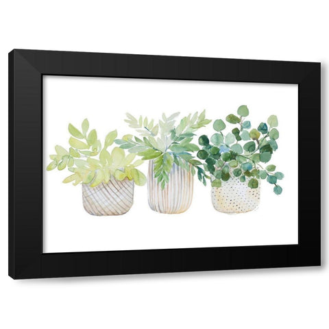 Three Potted Plants Black Modern Wood Framed Art Print by Loreth, Lanie