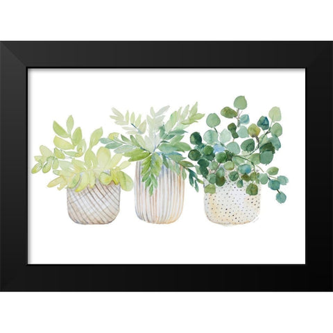 Three Potted Plants Black Modern Wood Framed Art Print by Loreth, Lanie