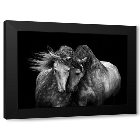 Horses in Love Black Modern Wood Framed Art Print by Walker, Carol