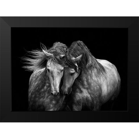 Horses in Love Black Modern Wood Framed Art Print by Walker, Carol