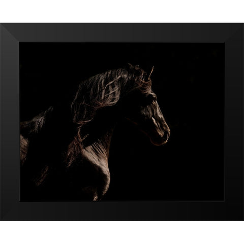 Mystery Horse Black Modern Wood Framed Art Print by Walker, Carol