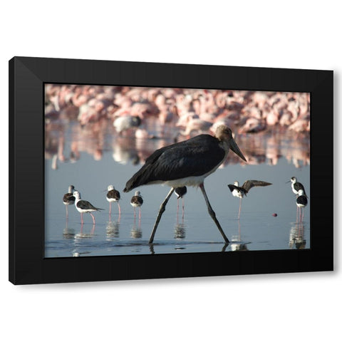 Among the Flock I Black Modern Wood Framed Art Print by Walker, Carol