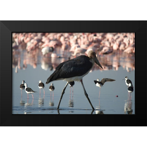 Among the Flock I Black Modern Wood Framed Art Print by Walker, Carol