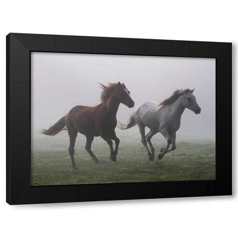 Running Wild Black Modern Wood Framed Art Print by Walker, Carol