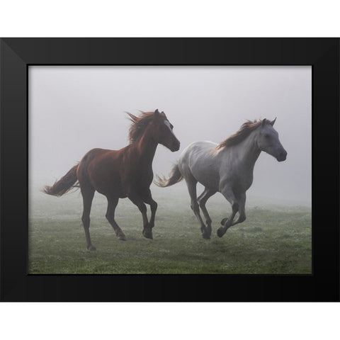 Running Wild Black Modern Wood Framed Art Print by Walker, Carol