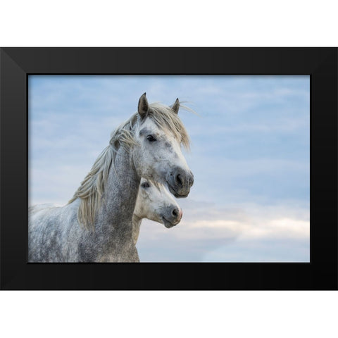 Blue Skies Black Modern Wood Framed Art Print by Walker, Carol