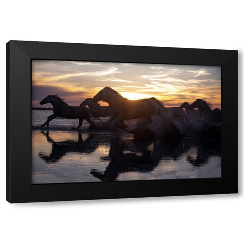 Coastal Horses Black Modern Wood Framed Art Print with Double Matting by Walker, Carol