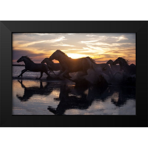 Coastal Horses Black Modern Wood Framed Art Print by Walker, Carol