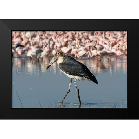 Among the Flock II Black Modern Wood Framed Art Print by Walker, Carol