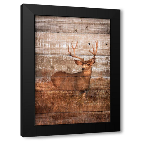 Woodland Deer Black Modern Wood Framed Art Print by Mansfield, Kathy