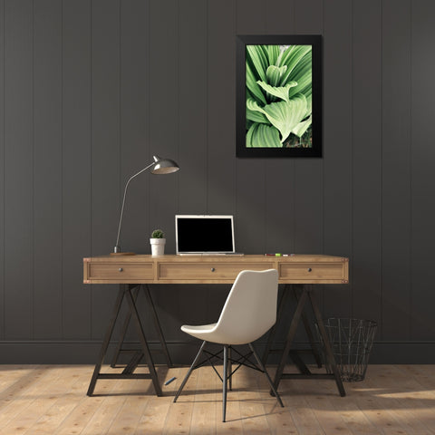 Green Leaf Blooms I Black Modern Wood Framed Art Print by Mansfield, Kathy