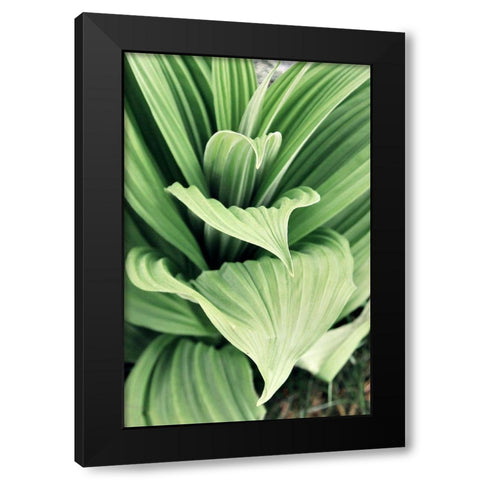 Green Leaf Blooms I Black Modern Wood Framed Art Print by Mansfield, Kathy