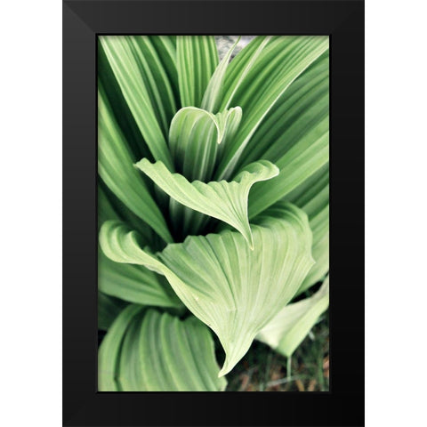 Green Leaf Blooms I Black Modern Wood Framed Art Print by Mansfield, Kathy