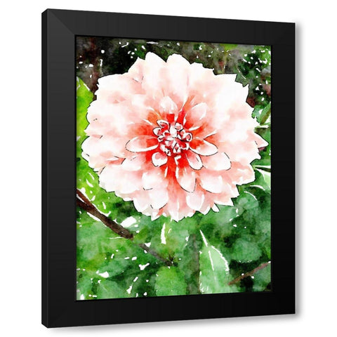 Rose Wash Floral Black Modern Wood Framed Art Print with Double Matting by Mansfield, Kathy
