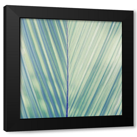 Vintage Palm Leaf I Black Modern Wood Framed Art Print by Mansfield, Kathy