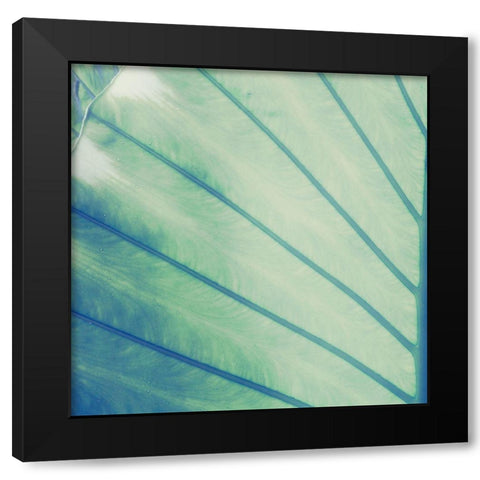 Vintage Palm Leaf II Black Modern Wood Framed Art Print with Double Matting by Mansfield, Kathy