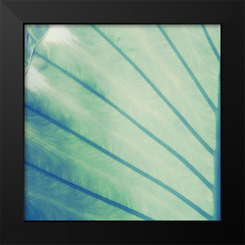 Vintage Palm Leaf II Black Modern Wood Framed Art Print by Mansfield, Kathy
