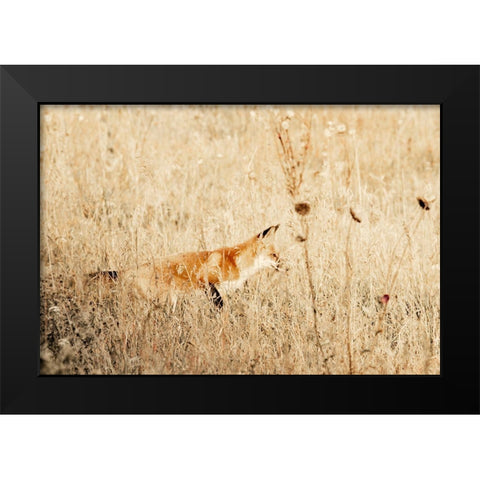 Hide and Hunt Black Modern Wood Framed Art Print by Mansfield, Kathy