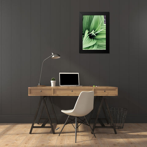 Green Leaf Blooms II Black Modern Wood Framed Art Print by Mansfield, Kathy