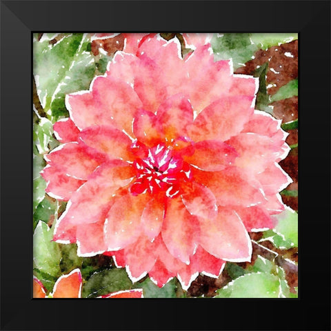 Pink Wash Peony Black Modern Wood Framed Art Print by Mansfield, Kathy