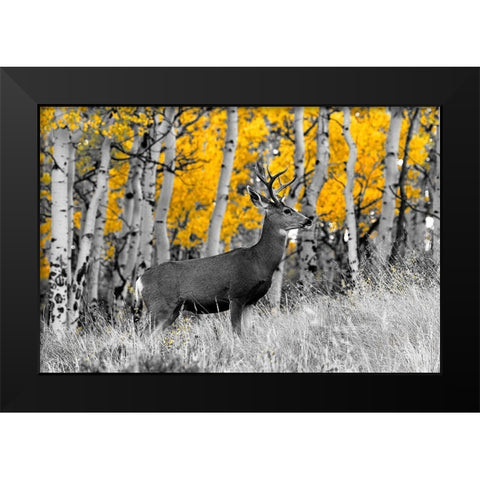 Buck Black Modern Wood Framed Art Print by Mansfield, Kathy