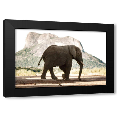 Lone Ele Black Modern Wood Framed Art Print by Niassa Lion Project