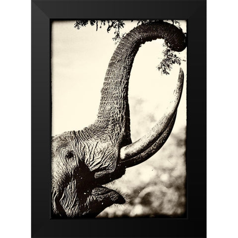 Reaching High Black Modern Wood Framed Art Print by Niassa Lion Project