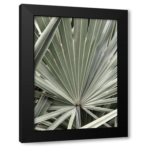 Organic Palm I Black Modern Wood Framed Art Print by Amos, Andy