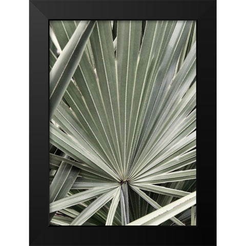 Organic Palm I Black Modern Wood Framed Art Print by Amos, Andy
