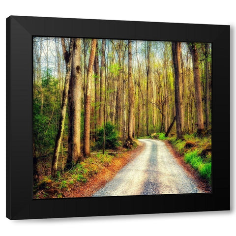 Wood Path Black Modern Wood Framed Art Print by Amos, Andy
