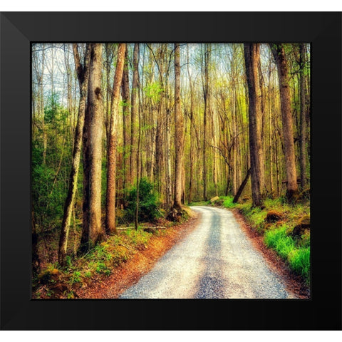 Wood Path Black Modern Wood Framed Art Print by Amos, Andy