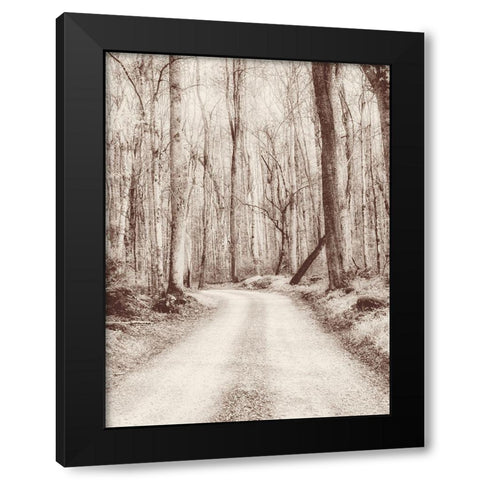 Road in the Woods Black Modern Wood Framed Art Print by Amos, Andy