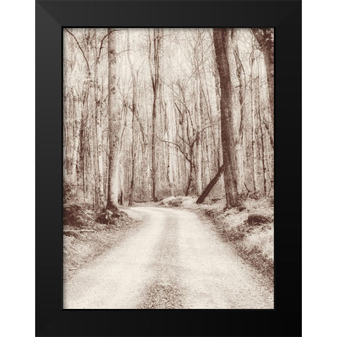 Road in the Woods Black Modern Wood Framed Art Print by Amos, Andy
