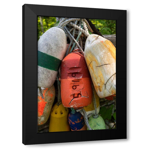 Boat Bumpers II Black Modern Wood Framed Art Print by Amos, Andy