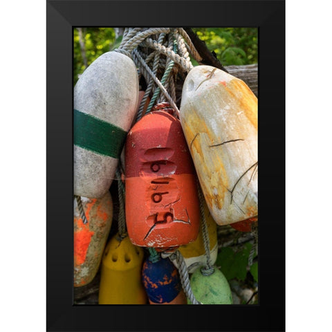Boat Bumpers II Black Modern Wood Framed Art Print by Amos, Andy